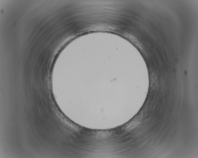 X0000078240848200612011603