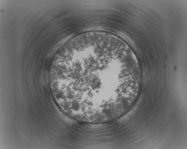 X0000078240849200612011603