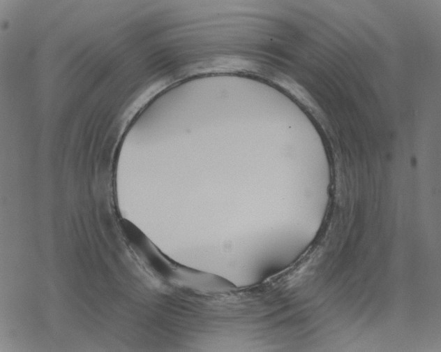 X0000078240850200612011603