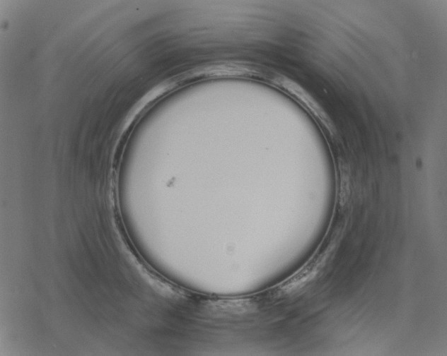 X0000078240853200612011603