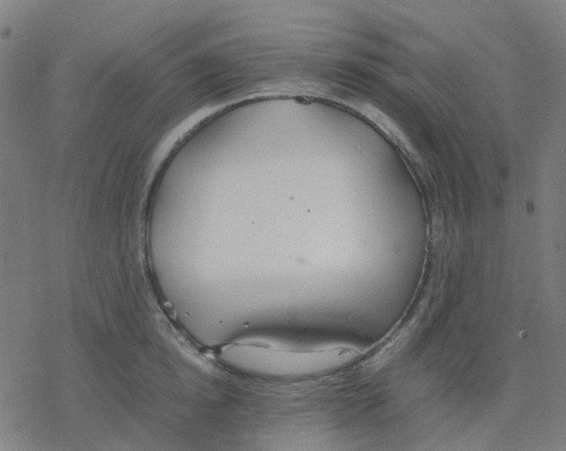 X0000078240854200612011603