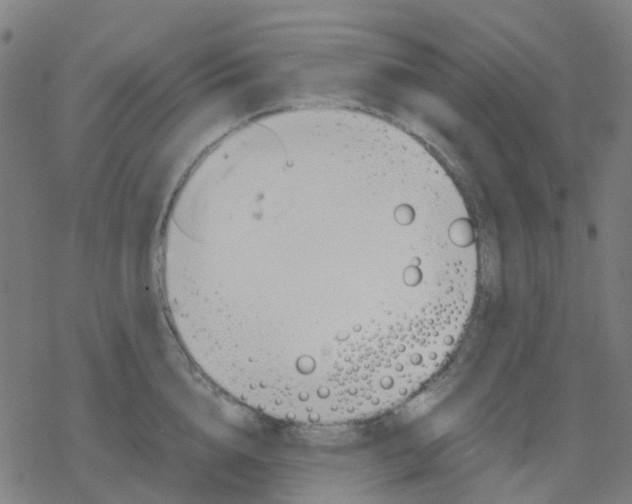 X0000078240856200612011603