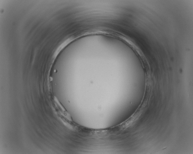 X0000078240858200612011603