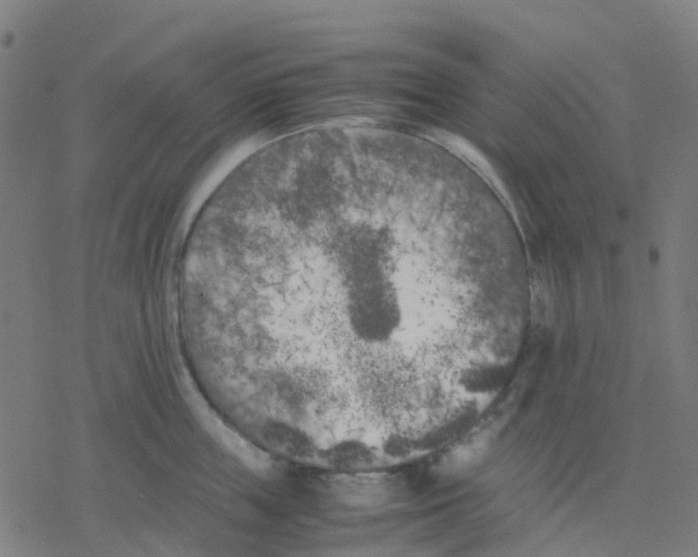 X0000078240859200612011603