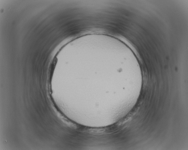 X0000078240861200612011603