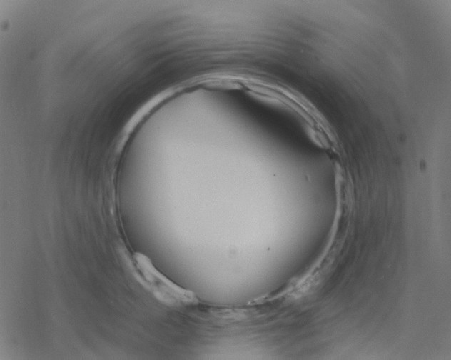 X0000078240862200612011603