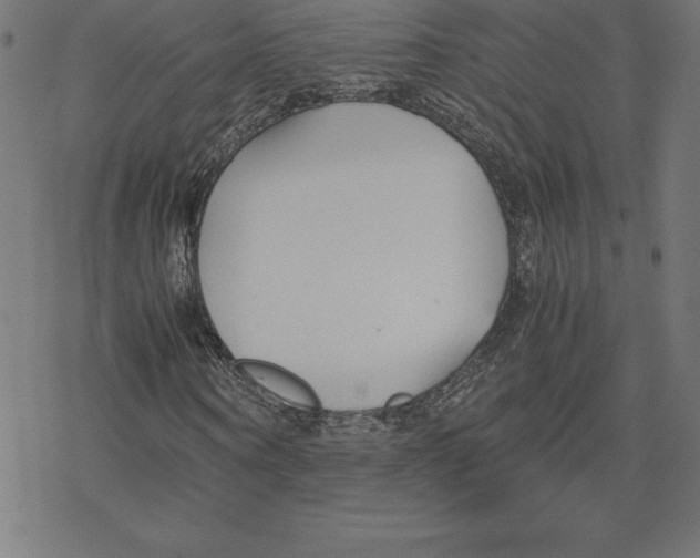 X0000078240866200612011602