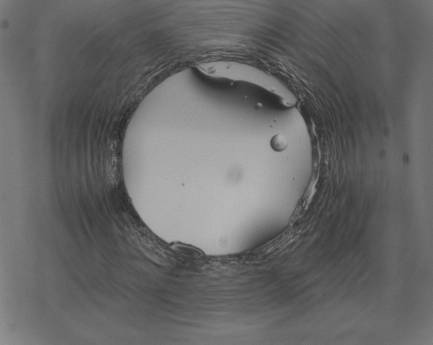 X0000078240868200612011602