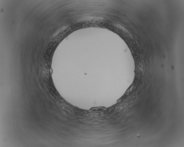 X0000078240869200612011602