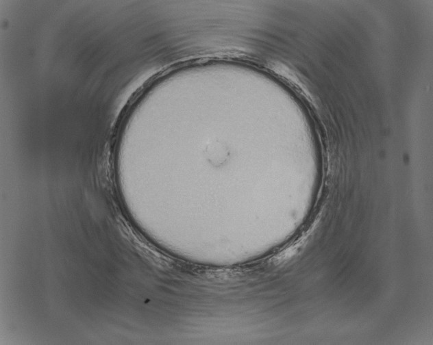 X0000078240875200612011602