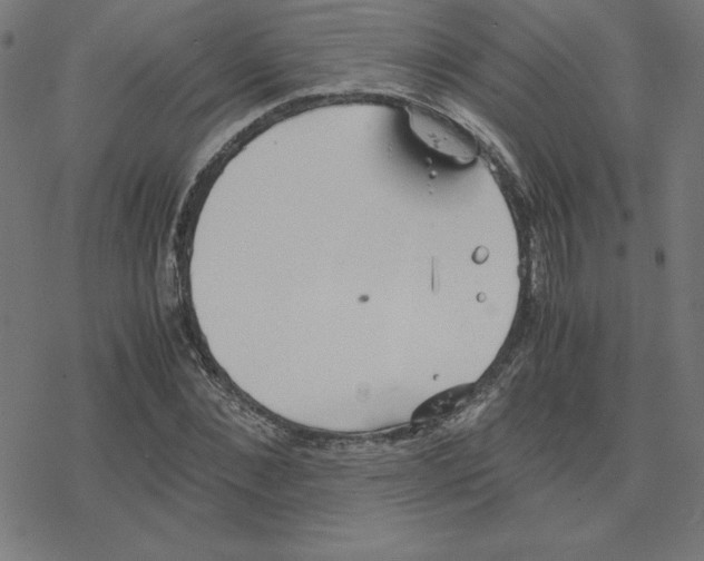 X0000078240876200612011602