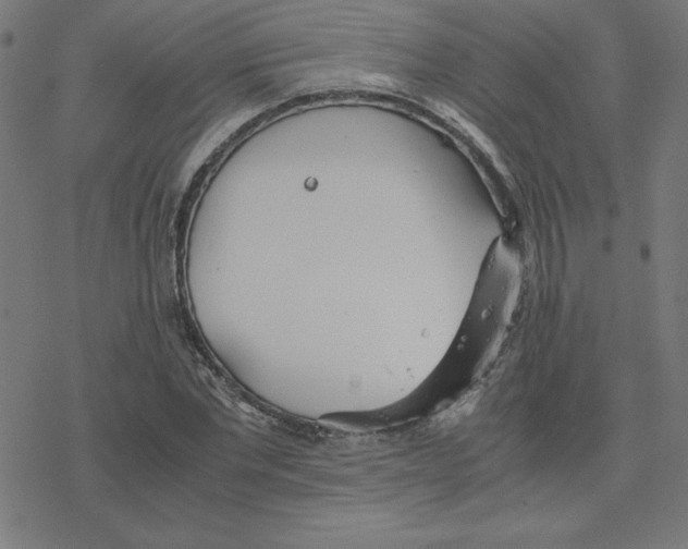 X0000078240877200612011602