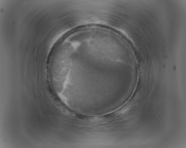 X0000078240879200612011602