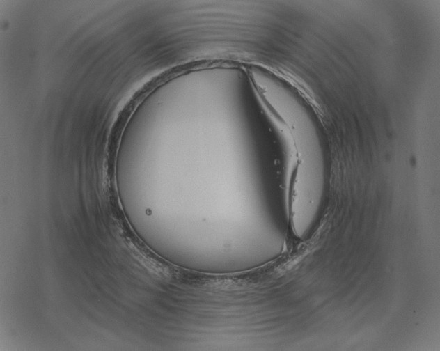 X0000078240880200612011602