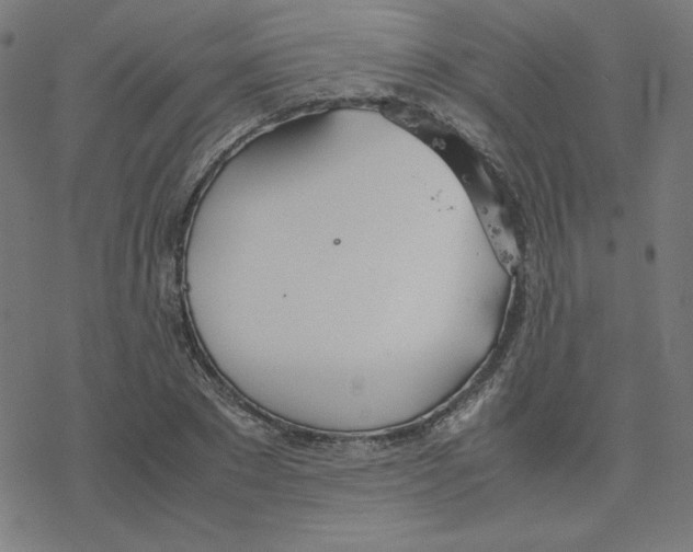 X0000078240881200612011602