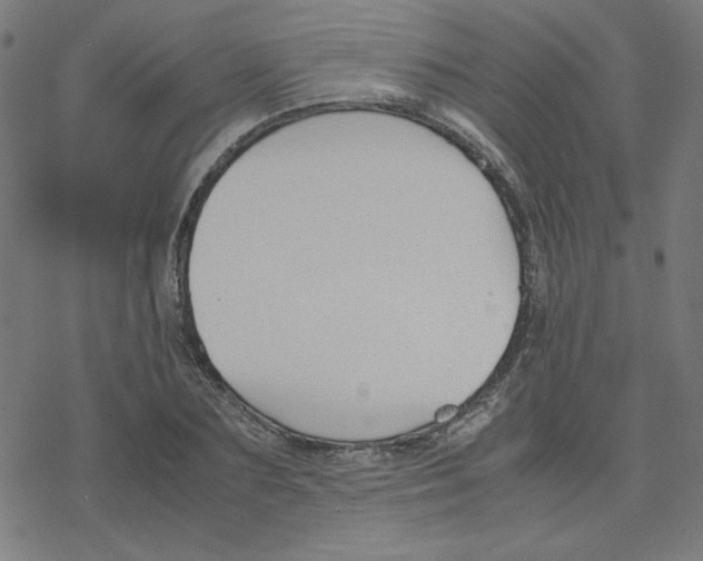 X0000078240883200612011602