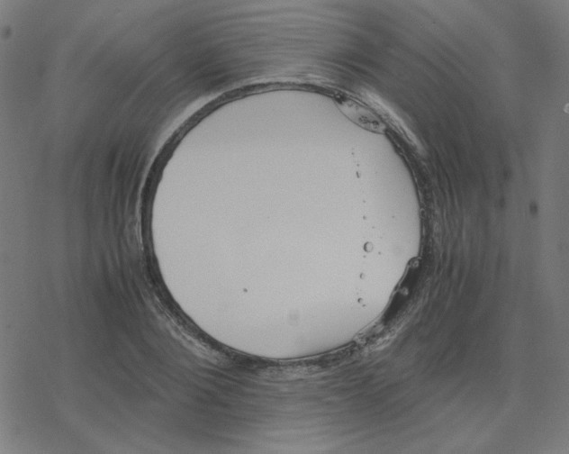 X0000078240884200612011602