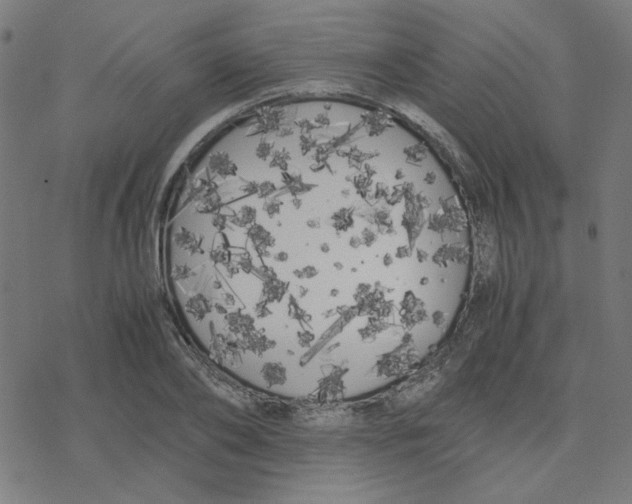 X0000078240886200612011602