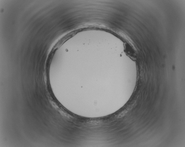 X0000078240888200612011602