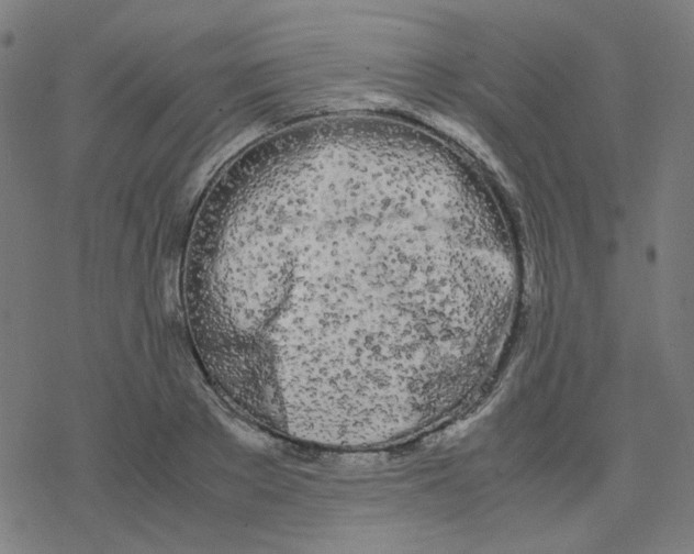 X0000078240889200612011602