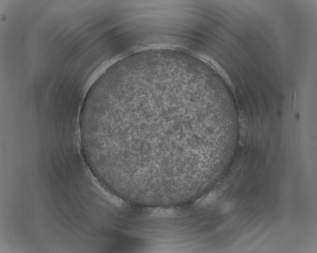 X0000078240890200612011602