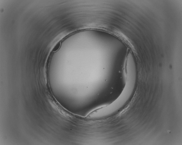 X0000078240892200612011602