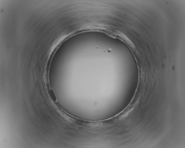 X0000078240893200612011602