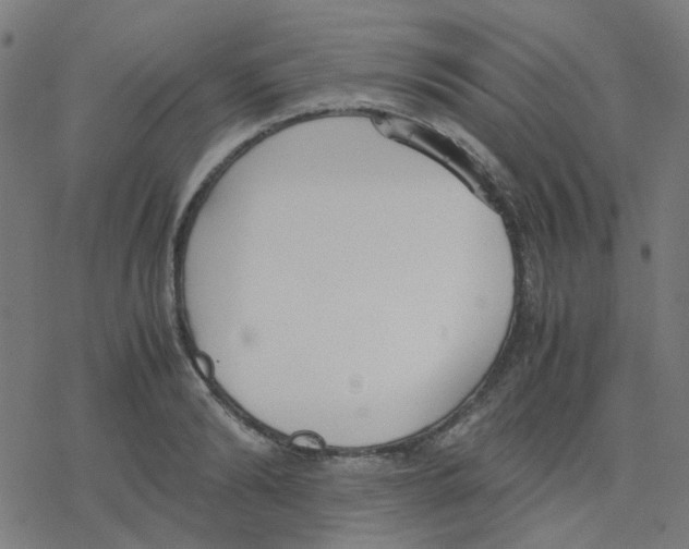 X0000078240894200612011602