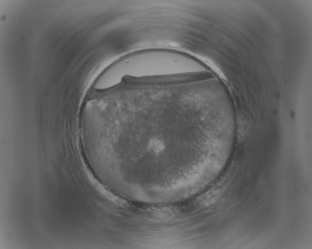 X0000078240895200612011602