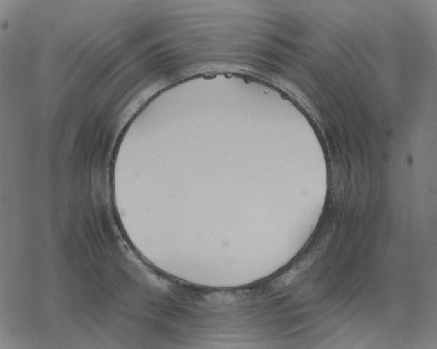 X0000078240898200612011602