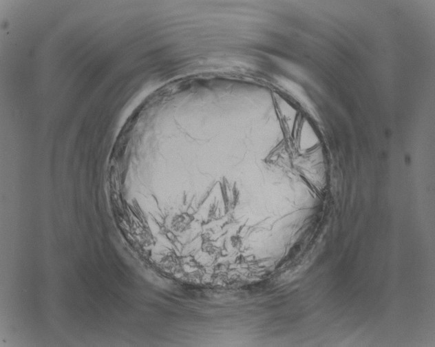 X0000078240899200612011601