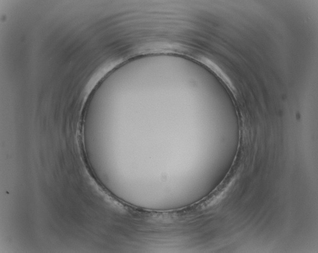 X0000078240901200612011601