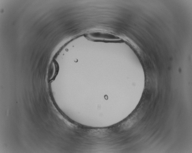 X0000078240902200612011601