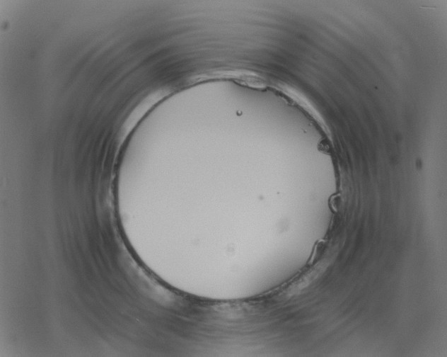 X0000078240906200612011601