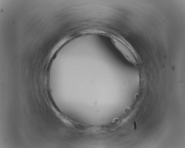 X0000078240909200612011601