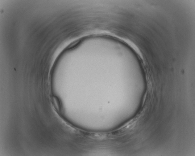 X0000078240911200612011601