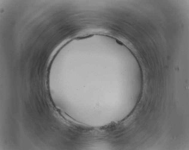 X0000078240912200612011601