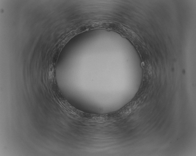 X0000078240914200612011601