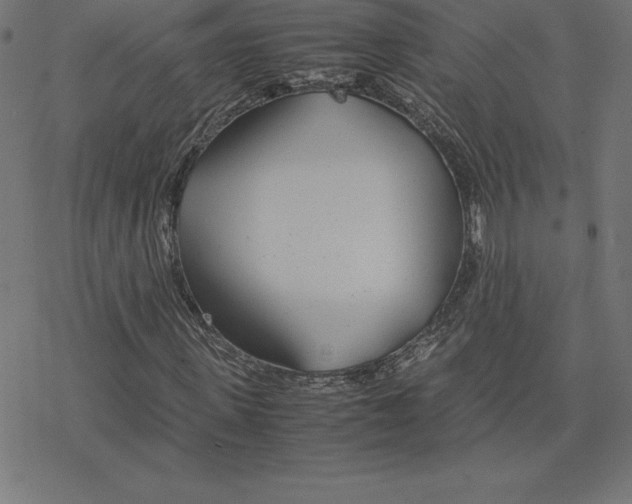 X0000078240915200612011601