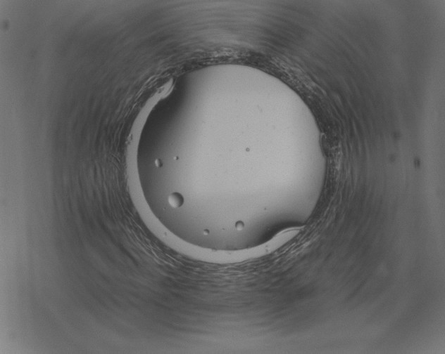 X0000078240916200612011601