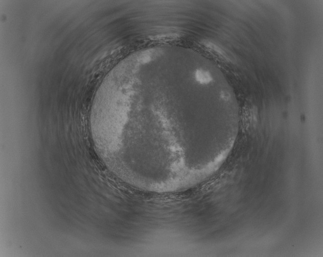 X0000078240917200612011601