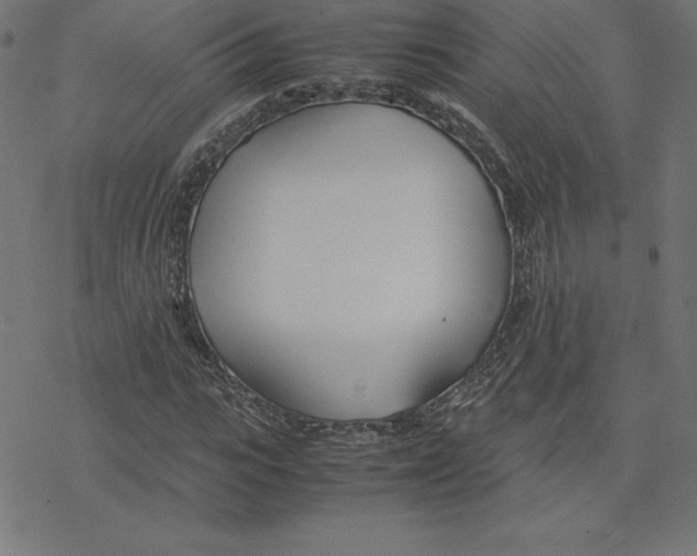 X0000078240919200612011601