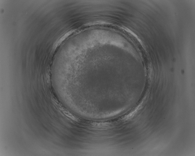 X0000078240921200612011601