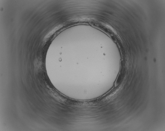 X0000078240922200612011601