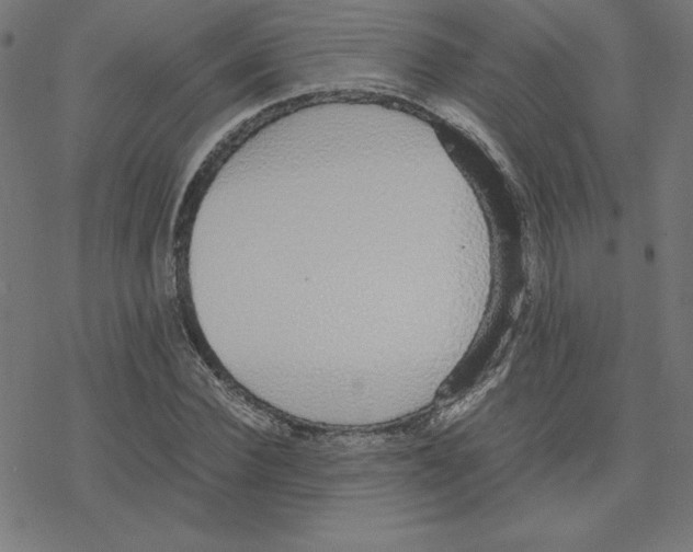 X0000078240924200612011601