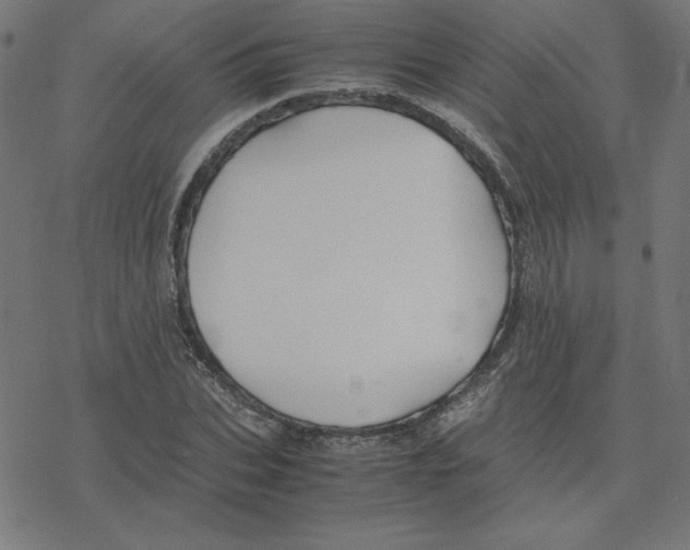 X0000078240927200612011601