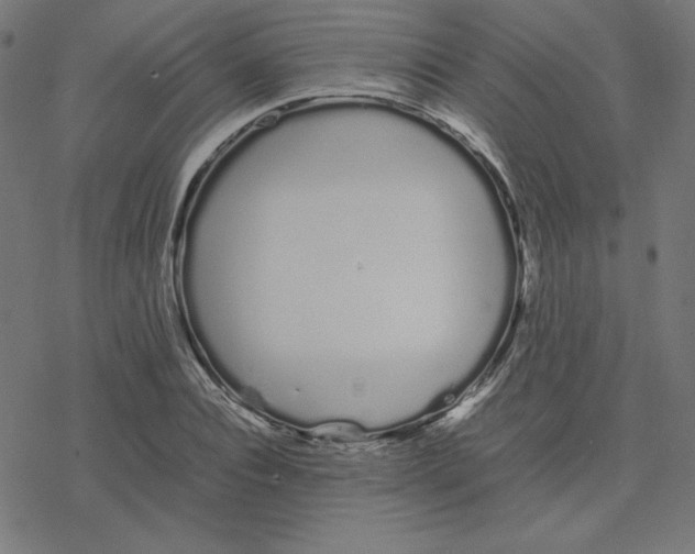 X0000078240928200612011601