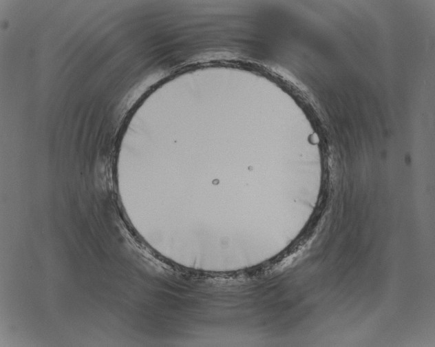 X0000078240929200612011601