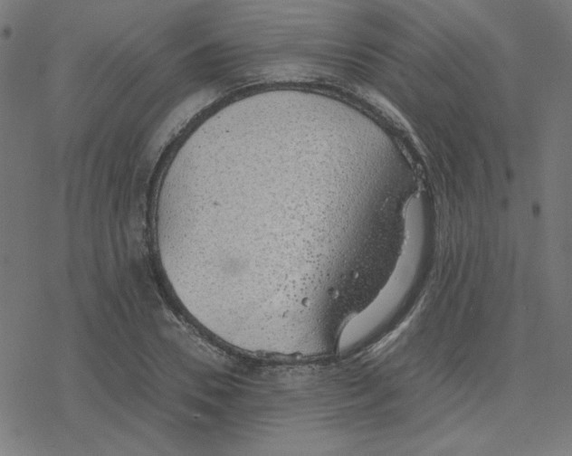 X0000078240930200612011601