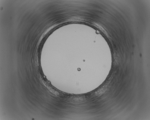 X0000078240931200612011601